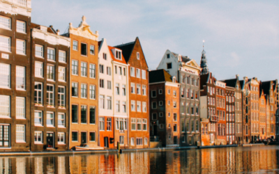 Events on pain in the Netherlands!