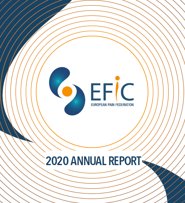 EFIC just launched its 2020 Annual Report
