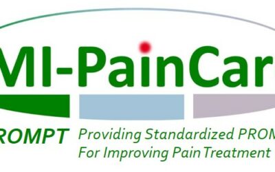 IMI Pain Care: Subproject Interviews