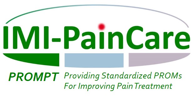 IMI Pain Care: Subproject Interviews
