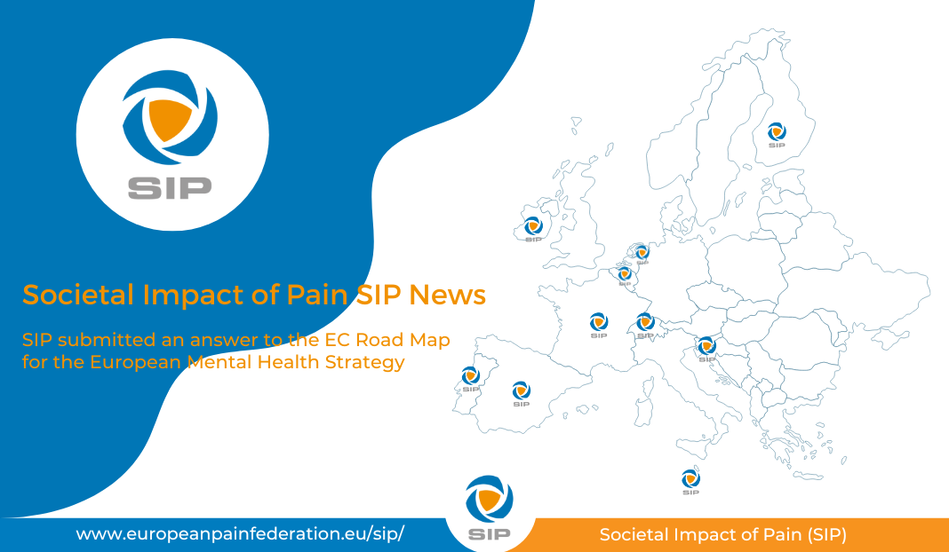 SIP submitted an answer to the EC Road Map for the European Mental Health Strategy