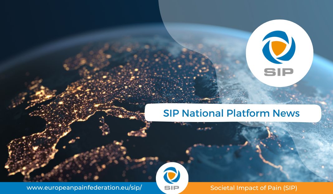 SIP National Platform Meeting Report Available