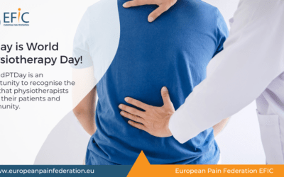 World PT Day 2024: Low Back Pain