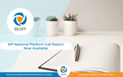 SIP National Platform Call Report Available