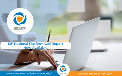 SIP National Platform Call Report Available