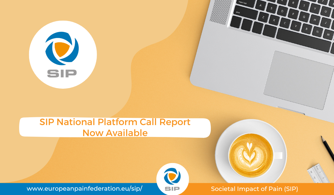 SIP National Platform Call Report Available