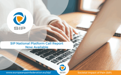 SIP National Platform Call Report Available