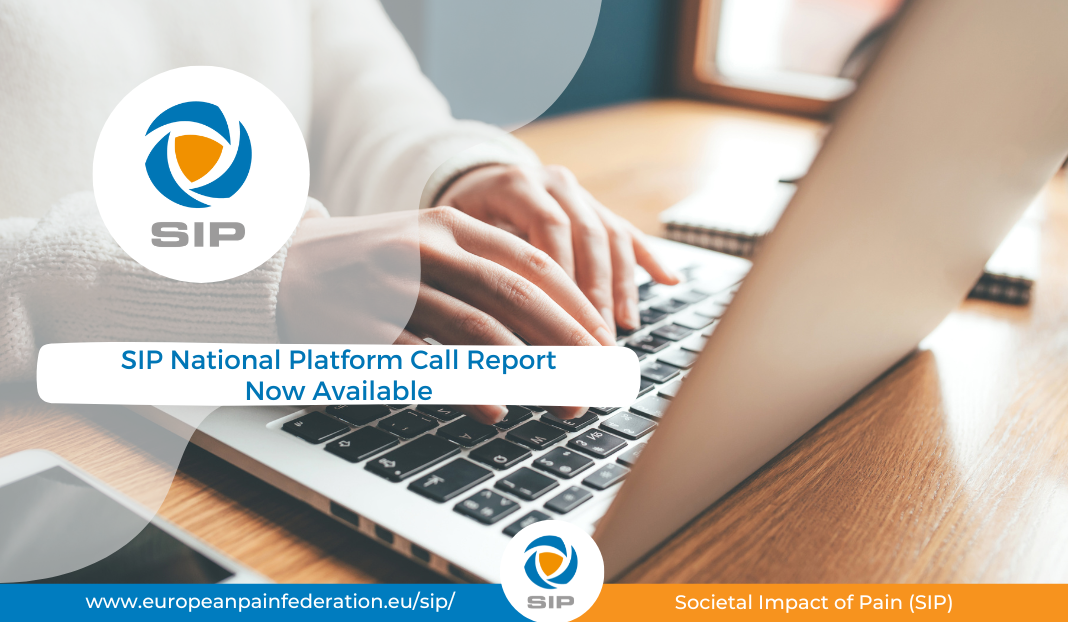 SIP National Platform Call Report Available