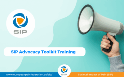 SIP Advocacy Toolkit Training Strengthens National Advocacy Capacity Across Europe