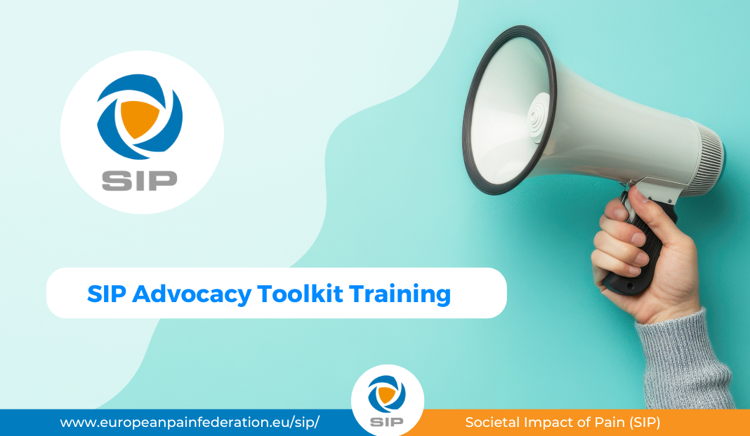 SIP Advocacy Toolkit Training Strengthens National Advocacy Capacity Across Europe
