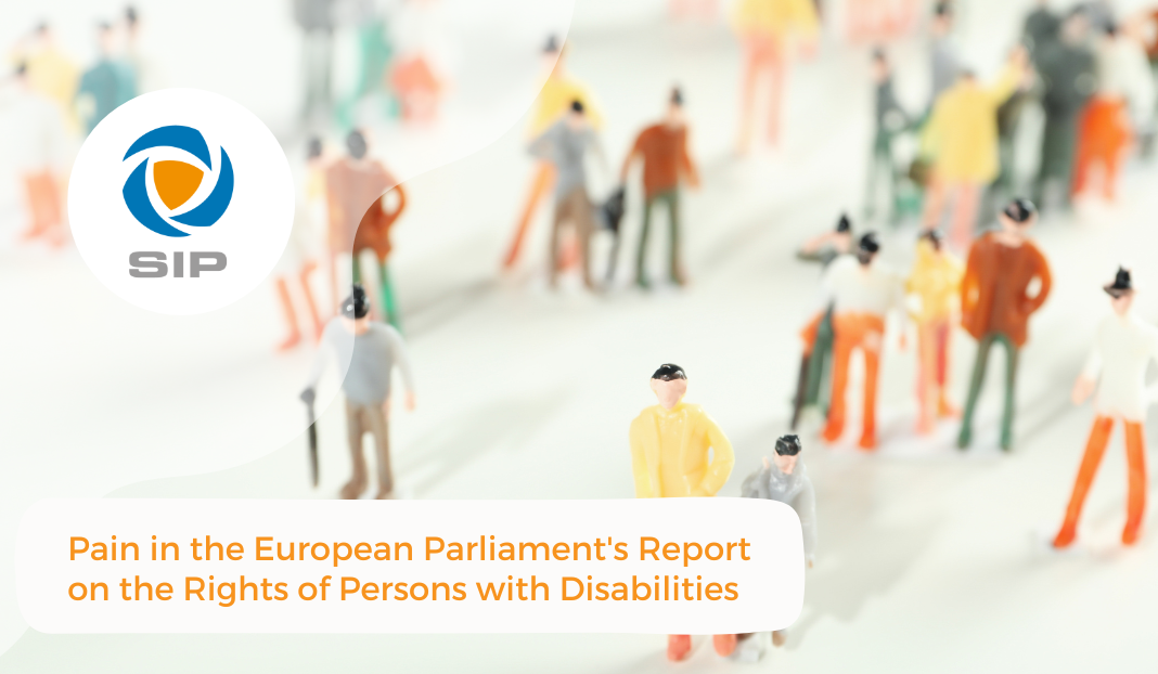 Pain in the European Parliament’s Report on the Rights of Persons with Disabilities
