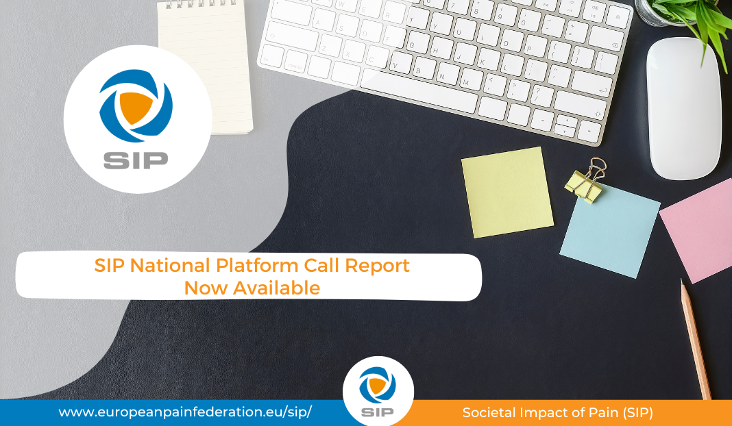 The SIP National Platform Call Report is now available!