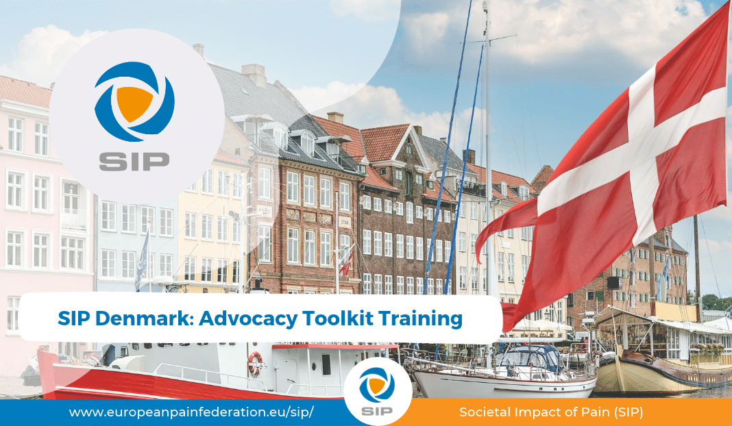 SIP Advocacy Toolkit Training in Denmark